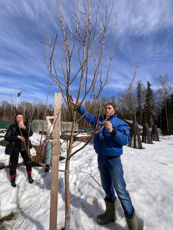 ��� �������� ����������� �������� ��������: ��������������� � ����������� ��������