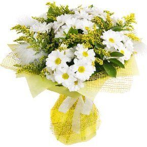 ��� ������� ��������� ������� ������� �� ���� ��������: ������ � ����