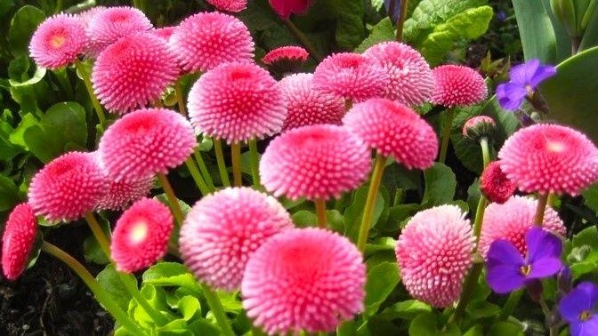 ����� ����� ����� ������ � ����: ��������� �������� ��� ������ ����