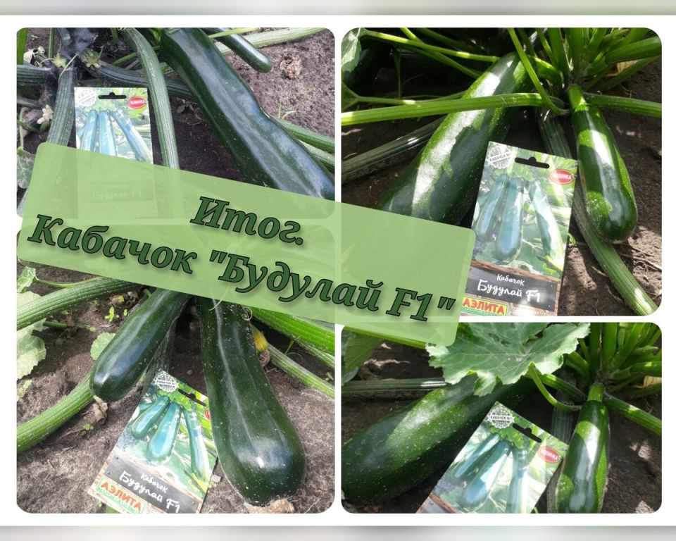 ������� �������: ��� ��� ����� �������� ����� 25 �� ������