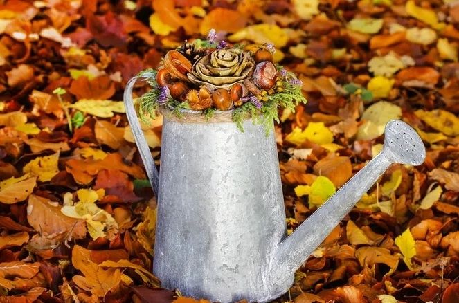 ��� ����������� ��� � ����: ������� ������ ��� �������� ������