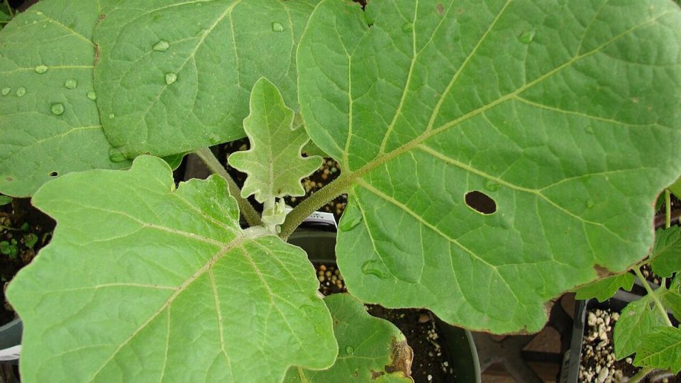 ��������� ����� ����������� � ���������� ����������