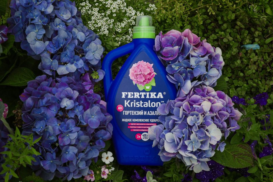 ������ ������� ����� �� ����������� ��� ������ ��������