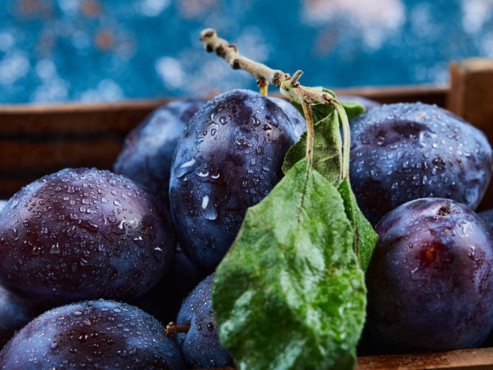 ��� ������� ����� �����: ������� ������� ���������