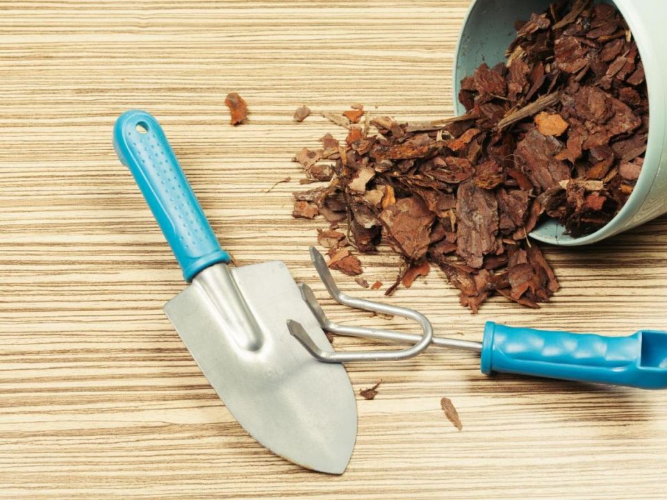 Как мульча может спасти ваши клумбы от ненужной травы