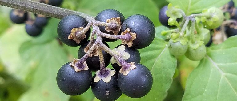 ��� �������� ����� �������� ��� ������ �� ����������