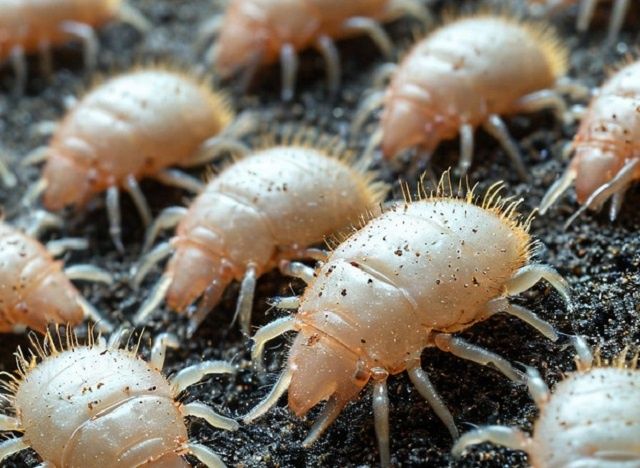 ����������� ������� ������ � �������� ������� � ����� ����