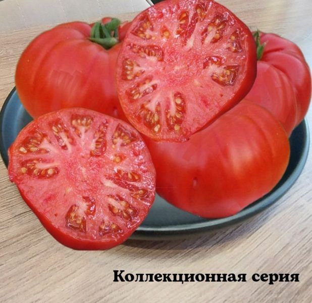 ����� ������: ������� ������� ������ � �������� ������������